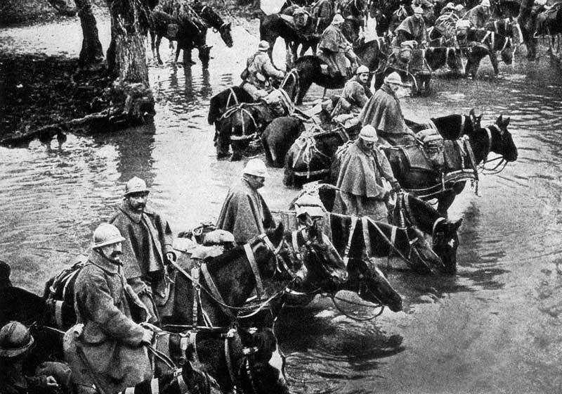 French train horses on the way to Verdun